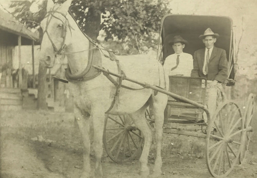 Antico vintage rppc hourse - antico,